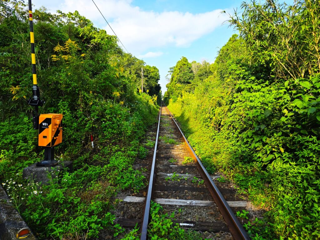 marukawa_reform_renovation_注文住宅_南九州市_工務店_イベント_見学会_南薩地域_リフォーム_南さつま市_枕崎市_補助金